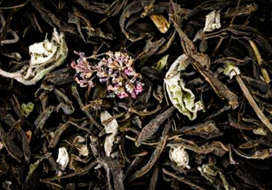 Ivan Chai/ Fermented with mint and oregano. 50gr.